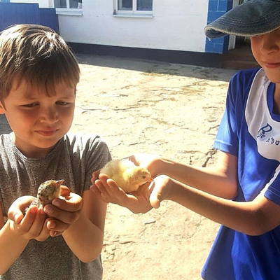 Мартинов Тимофій