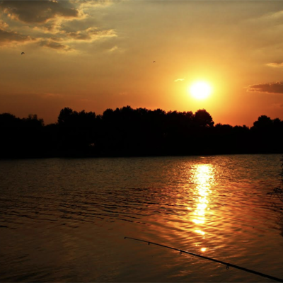 Володимир Підгаєцький