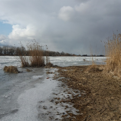 Олена Проценко