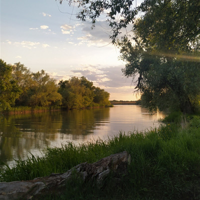 Анна Яровенко