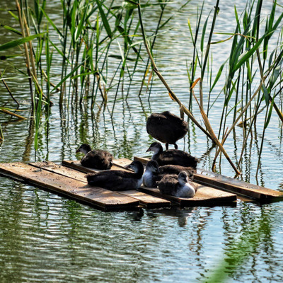  Оксана  Петченко