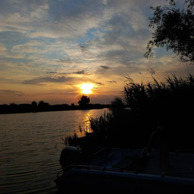  Анна Маяровская