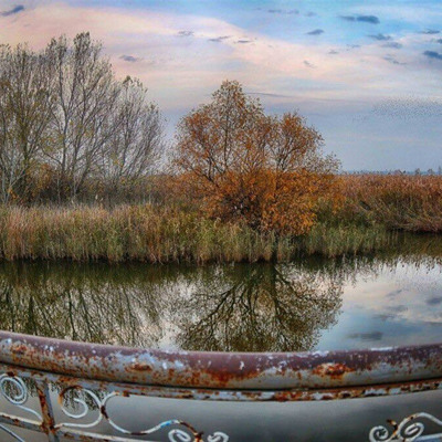 Наталля Родідял