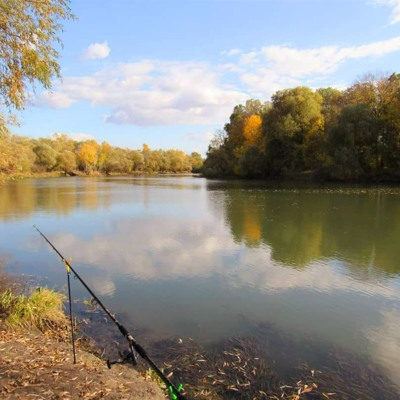 Степан Загризлий