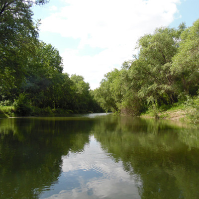 Оксана Ранга