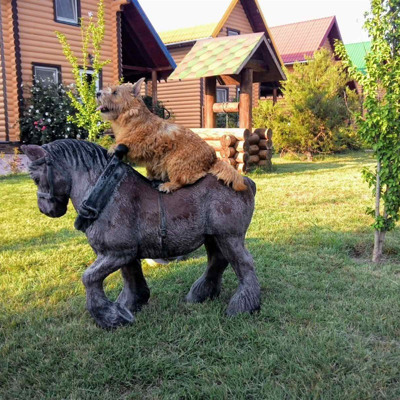 Собака Белка на конику