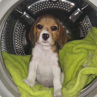  Айза, 5 місяців 