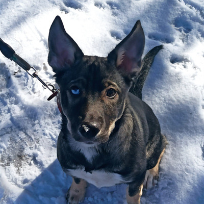 Дівчинка Сема. 10 місяців