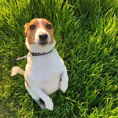 Річі,5 повних років