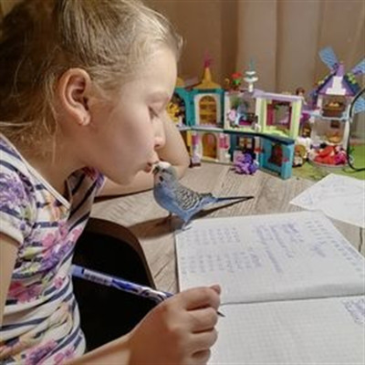 Поліна Камінська