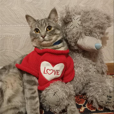 Бакс