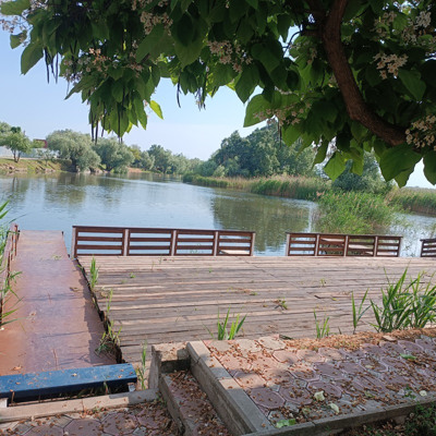 Ася Мирзоева