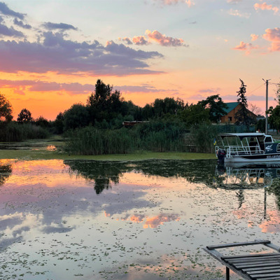 Алла Радова