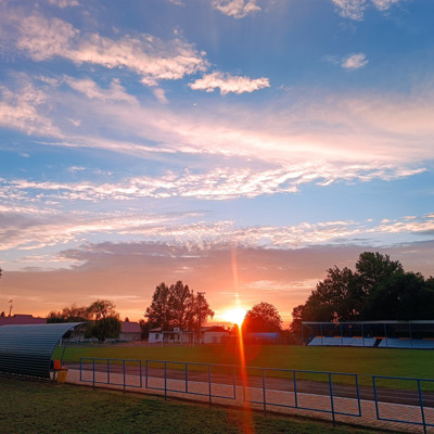 Діана Покрищук