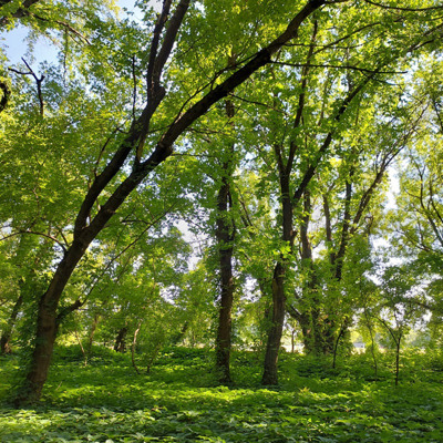 Дарина Кравченко 