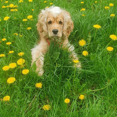 Грайлива та ніжна дівчинка Шері 1 рік