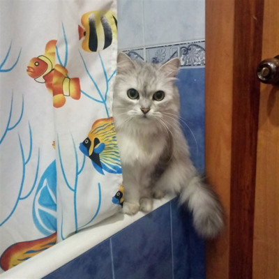 Соня