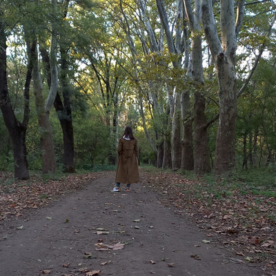 Ірина Колєснікова