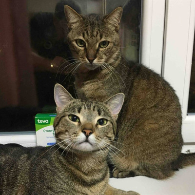 Максим Павлович та Міла Тимофіївна