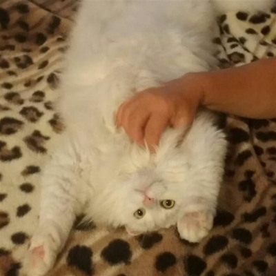 Кузя
