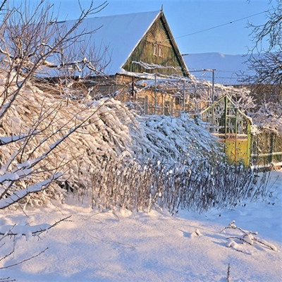 "Зимова фантазія"         