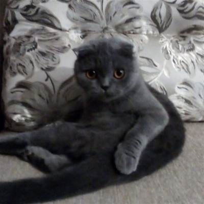 Емма, 2 роки, м.Ворожба