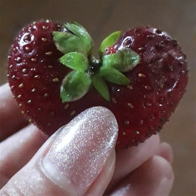 Тетяна Томенко, м.Ворожба