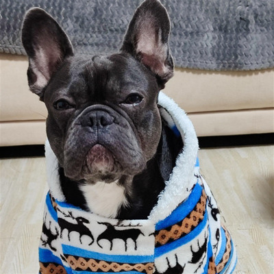 Луі (або Мишко),1 рік 5 місяців