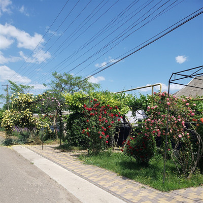 Тамара Литвиненко