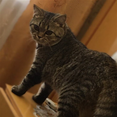 Том