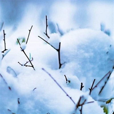 «Сніжна казкова ковдра»