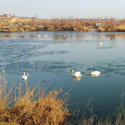 Вiталiй Житнюк 