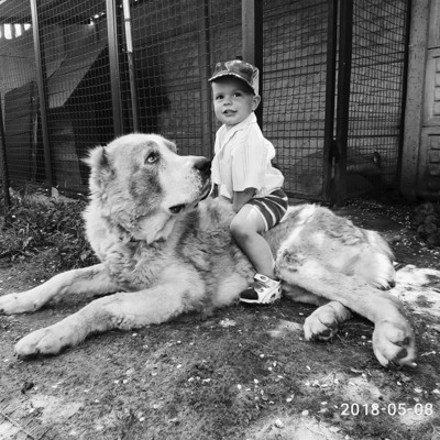 Баксюша, м.Ворожба