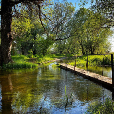Анна Рижова