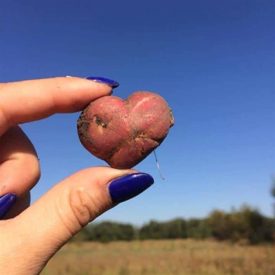 Марина Володіна, с.Терещенки