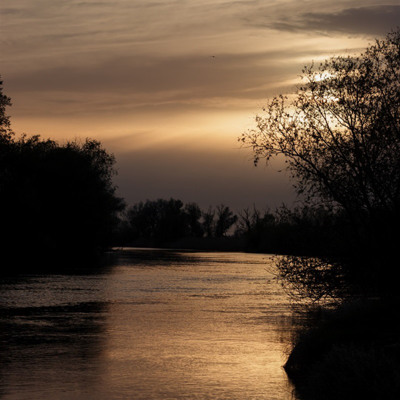 Яна Гриценко