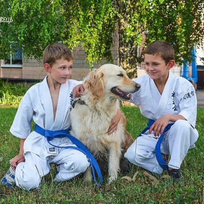 Максим і Артем Обидовські та золотистий ретривер Еля