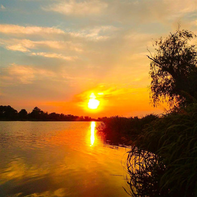 Анна Аніщенко