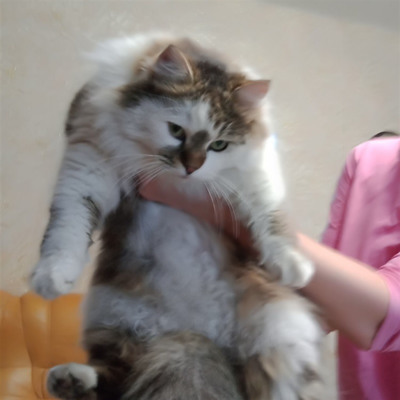 Кекс