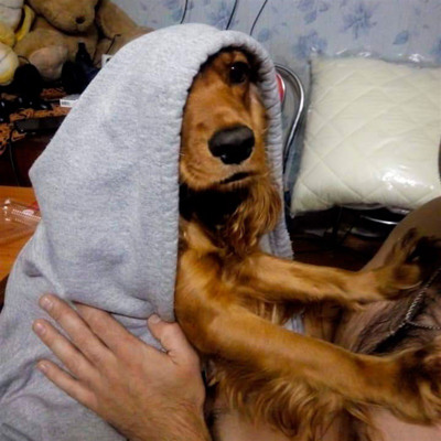 Альма