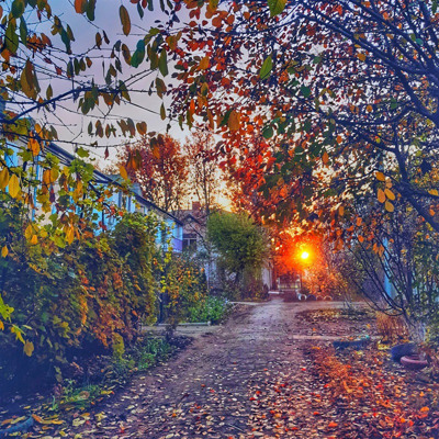 Дмитро Присяжнюк 