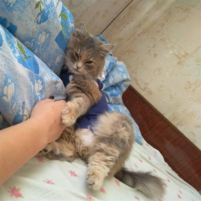 Нюша