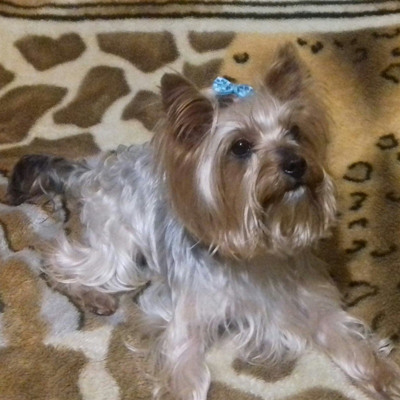 Нік, 5 років, м.Білопілля