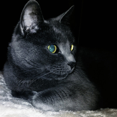 Наш красавец Том