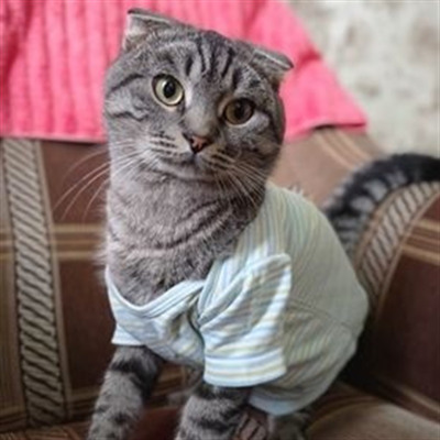Переляк