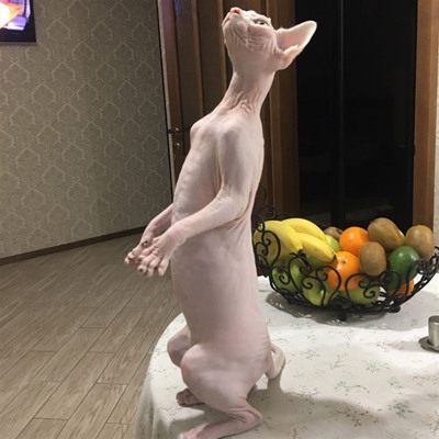 Бостон