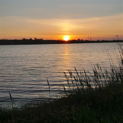 Аліна Присяжнюк