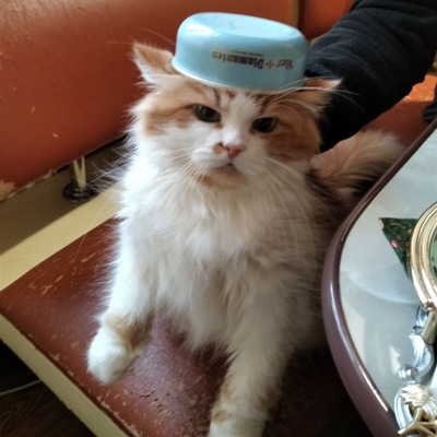 Марта