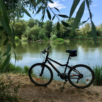 Ігор Будівський