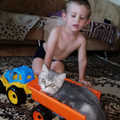 Лола, 5 місяців, м.Білопілля